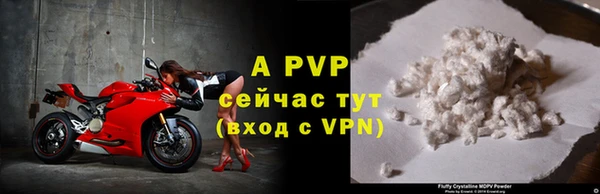 ALPHA PVP Богданович